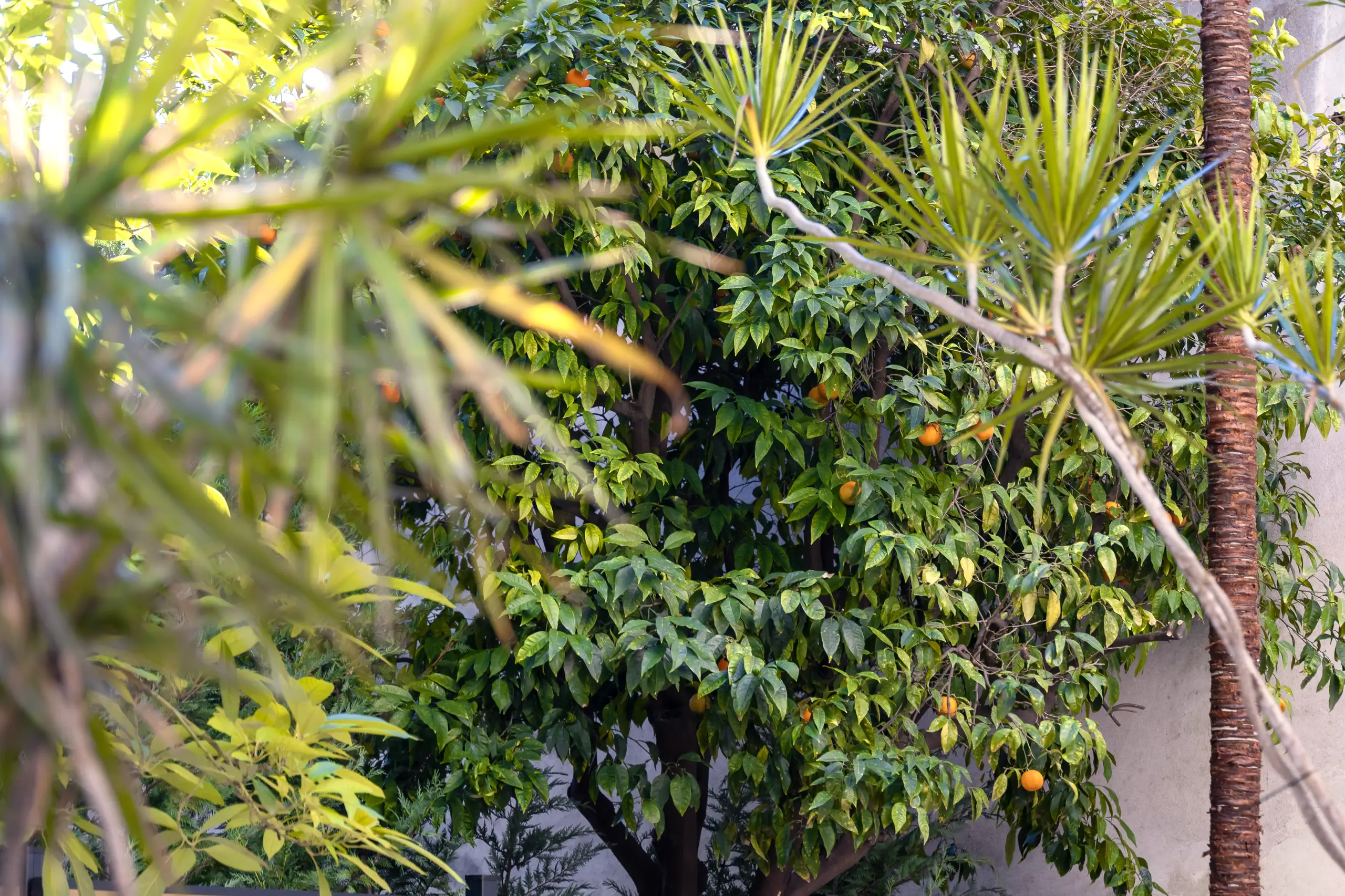 lucioles 10 - terrasse