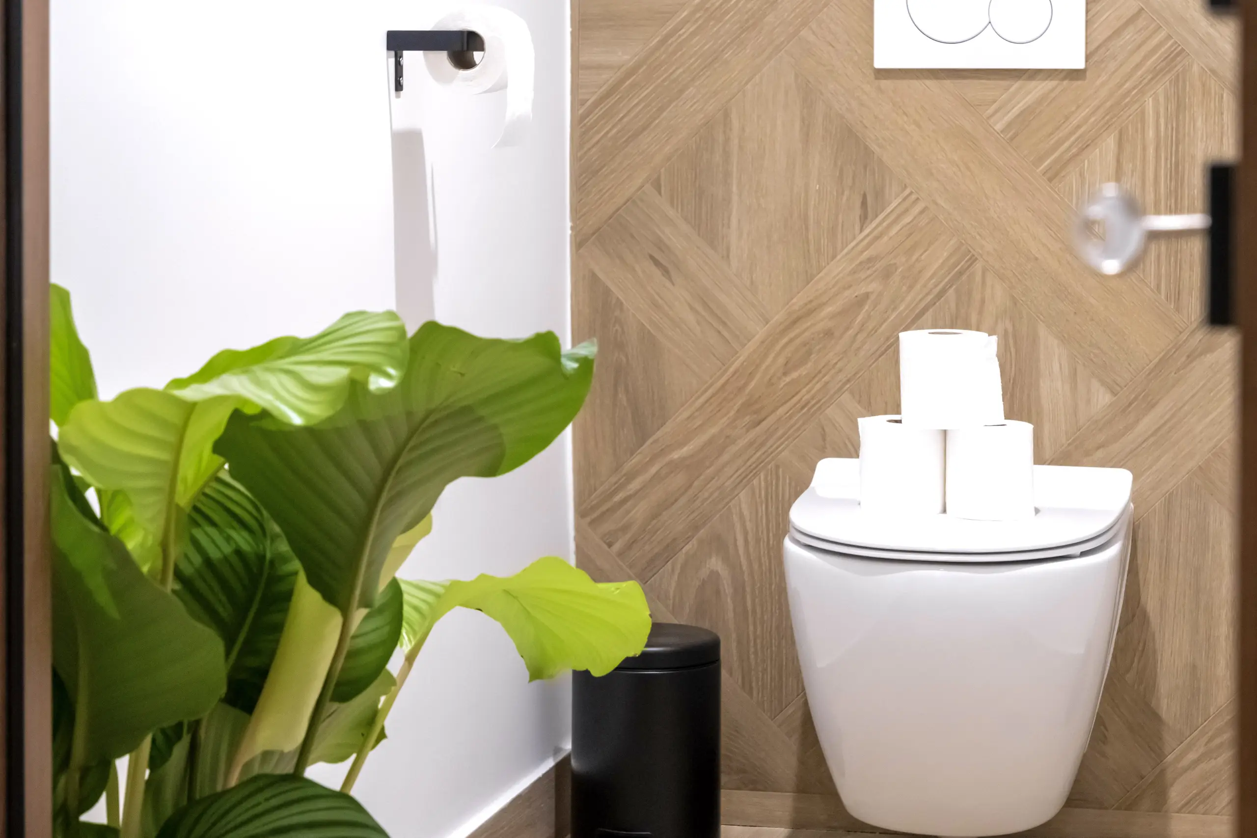 lucioles 10 - ntoilettes